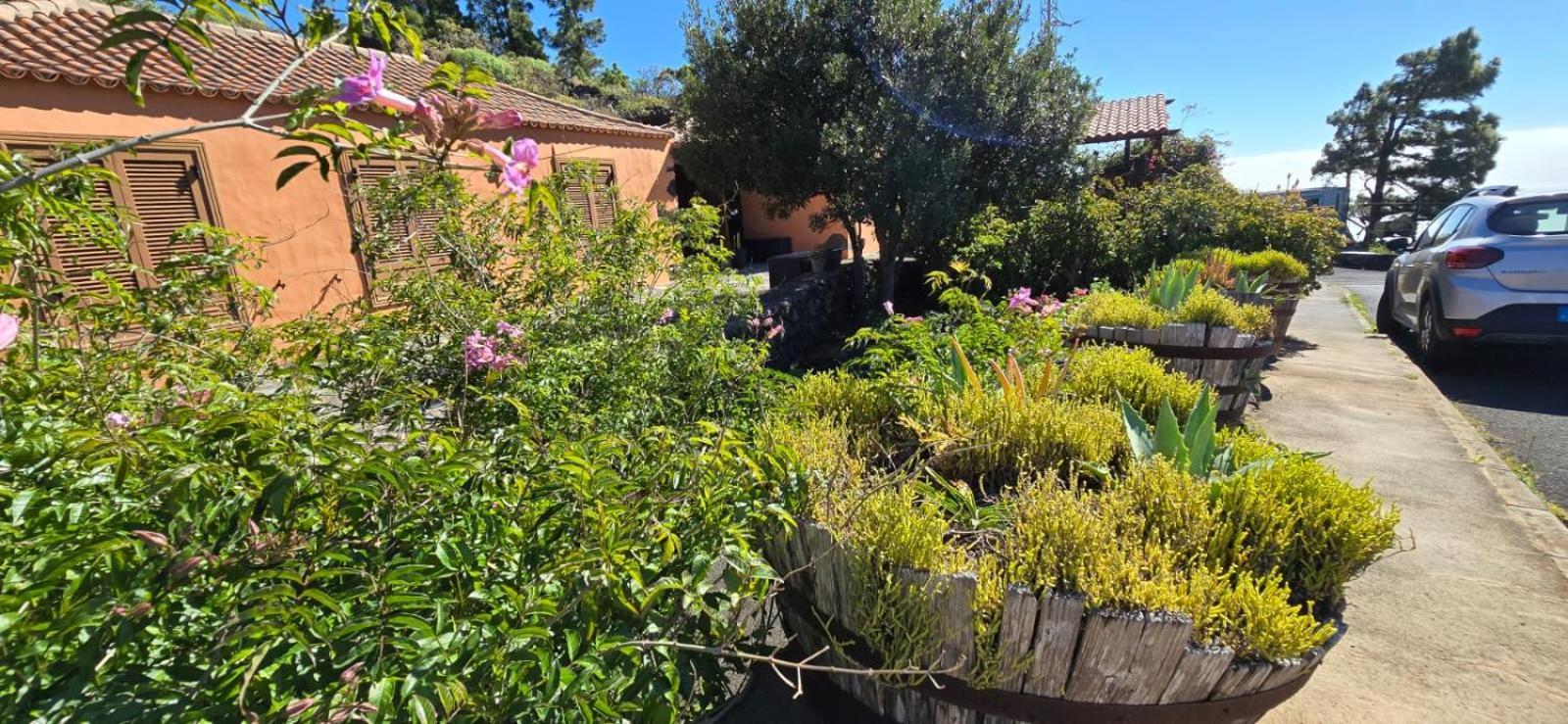 Vivienda Vacacional El Lagar, Bodega A Fuencaliente de la Palma Dış mekan fotoğraf