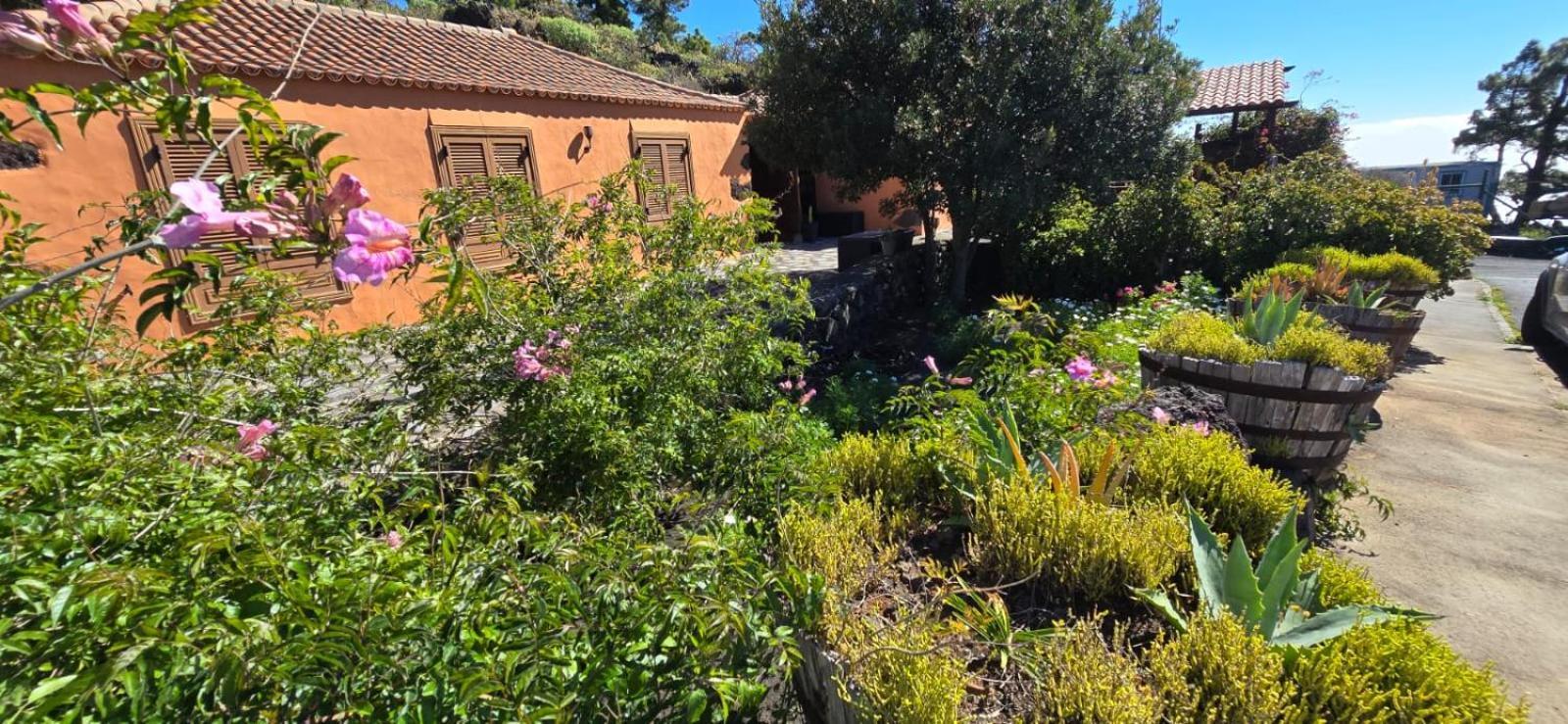 Vivienda Vacacional El Lagar, Bodega A Fuencaliente de la Palma Dış mekan fotoğraf